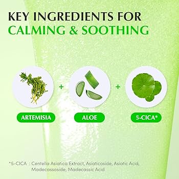 EqqualBerry PDRN Aloe Vera Soothing and Regenerating Serum