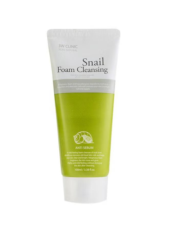 3W Clinic Snail Foam Cleansing 100ml